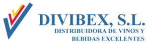 LogoDivibex